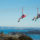 Waiheke Flying-fox Zipline & Native Forest Walk - 1 adult