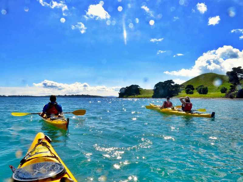 Auckland Sea Kayaks Gifts To Remember