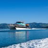 Akaroa Harbour Cruise (2 people)