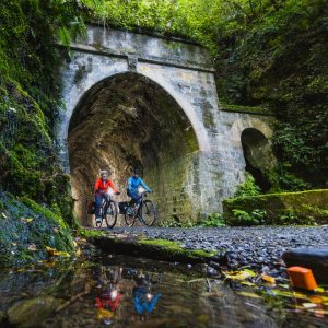 Mountain Bike Hire - Kaitoke - 1 person